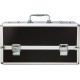 Великий кейс для зберігання секс-іграшок BMS Factory Large Lokable Vibrator Case Black,кодовий замок