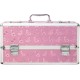Великий кейс для зберігання секс-іграшок BMS Factory Large Lokable Vibrator Case Pink, кодовий замок