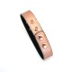Нашийник із затискачами для сосків Liebe Seele Rose Gold Memory Collar with Nipple Clamps, шкіра