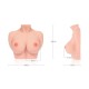 Мастурбатор-груди Kokos Bouncing Titties F