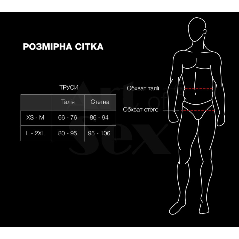 Мужские трусики из сетки Art of Sex - Demir, цвет черный, размер L-2XL