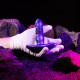 Анальная пробка с вибрацией и пульсацией Hueman - Supernova Thrusting Buttplug