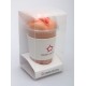 Мастурбатор-вагина Naked Factory Cup Sleeve V–3, сквозной