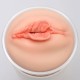 Мастурбатор-вагіна Naked Factory Cup Sleeve V–4, наскрізний