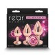 Набор анальных пробок NS Novelties Rear Assets - Trainer Kit - Rose Gold - Pink Gem