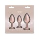 Набор анальных пробок NS Novelties Rear Assets - Trainer Kit - Iridescent Champagne - Clear Gem