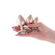 Набор анальных пробок NS Novelties Rear Assets - Trainer Kit - Iridescent Champagne - Clear Gem