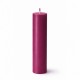 Свеча для WaxPlay Feral Feelings classic 15 см Cherry